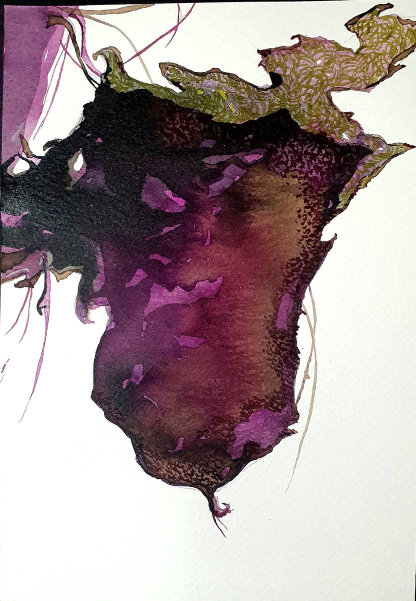Naturstudie, 24x21cm, Tusche auf Papier, 2020