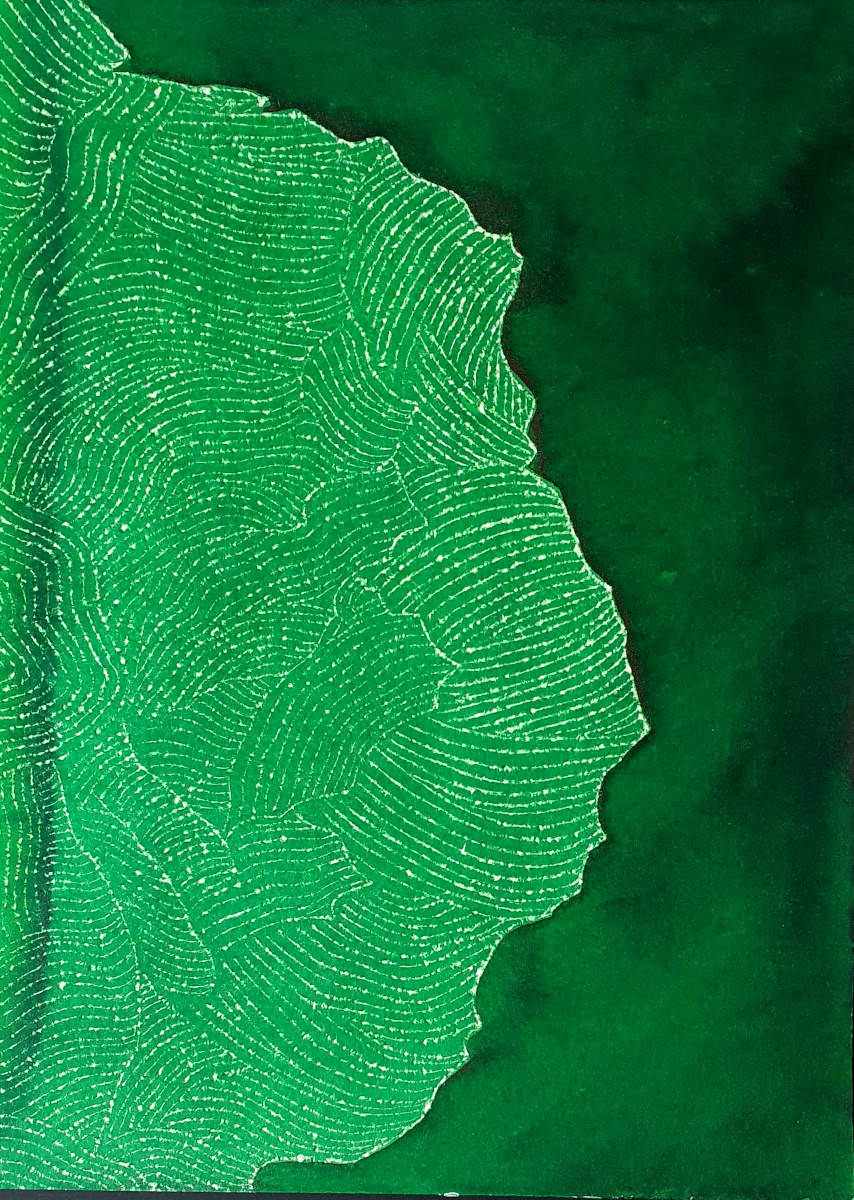 Naturstudie, 32x24cm, Tusche auf Papier, 2020