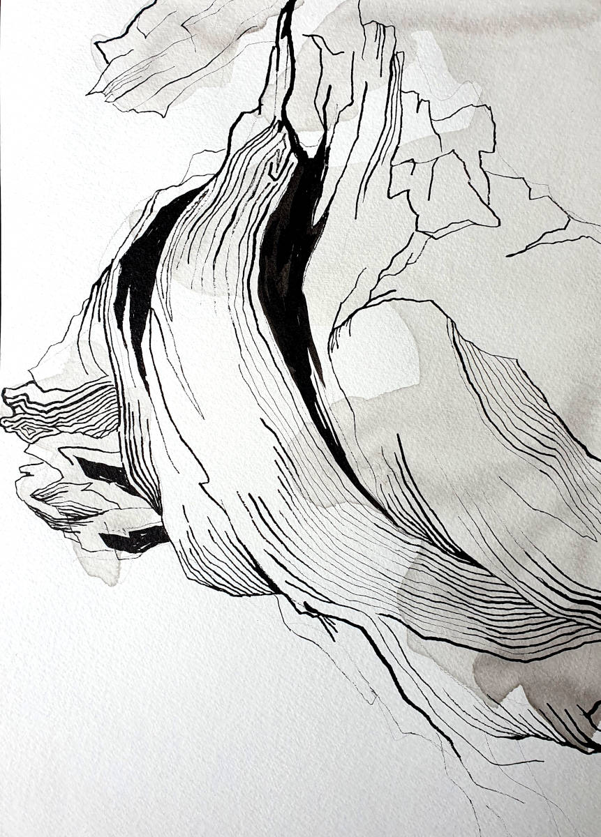 Naturstudie, 30x21cm, Tusche auf Papier, 2022