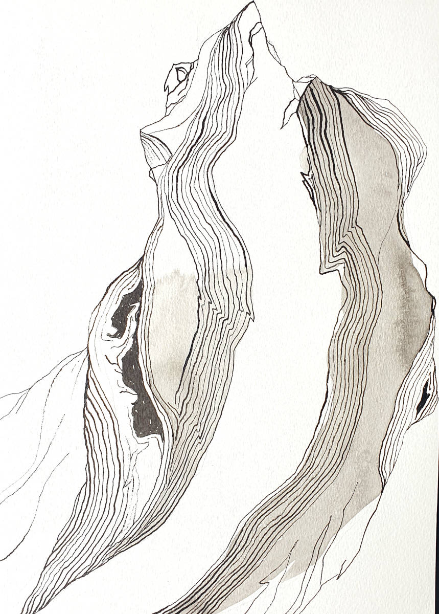 Naturstudie, 30x21cm, Tusche auf Papier, 2021