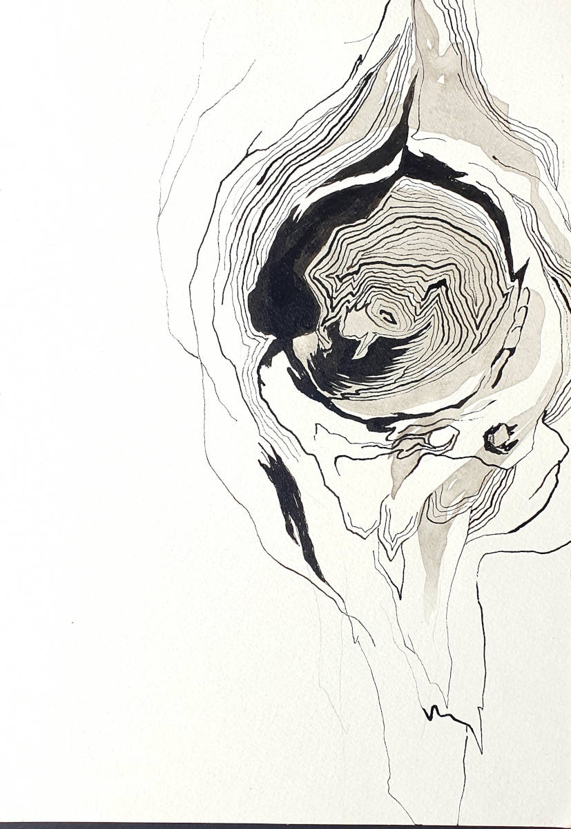 Naturstudie, 30x21cm, Tusche auf Papier, 2021