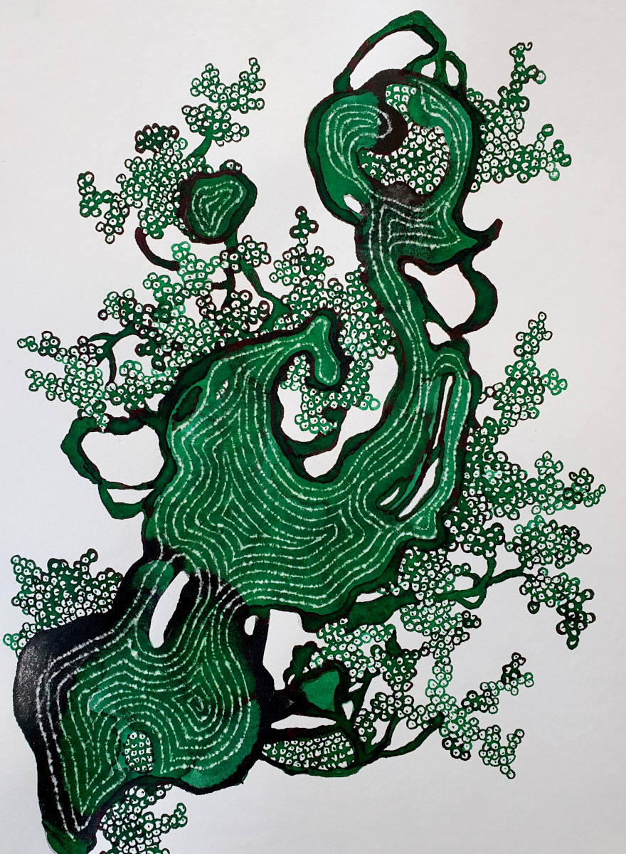 Naturstudie, 20x30cm, Tusche auf Papier, 2025